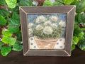 Blue Velvet Brown Frame
