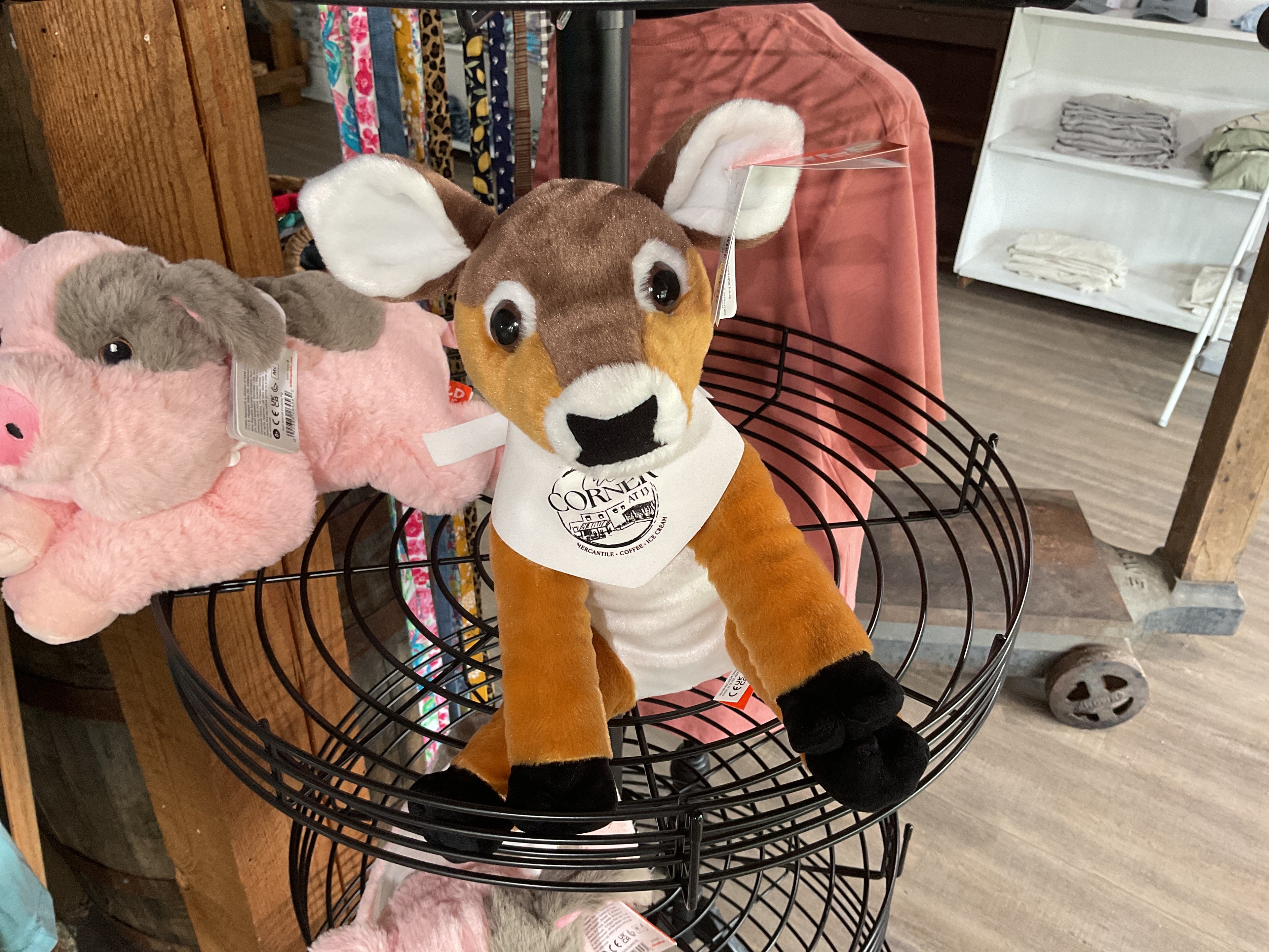 CK Fawn